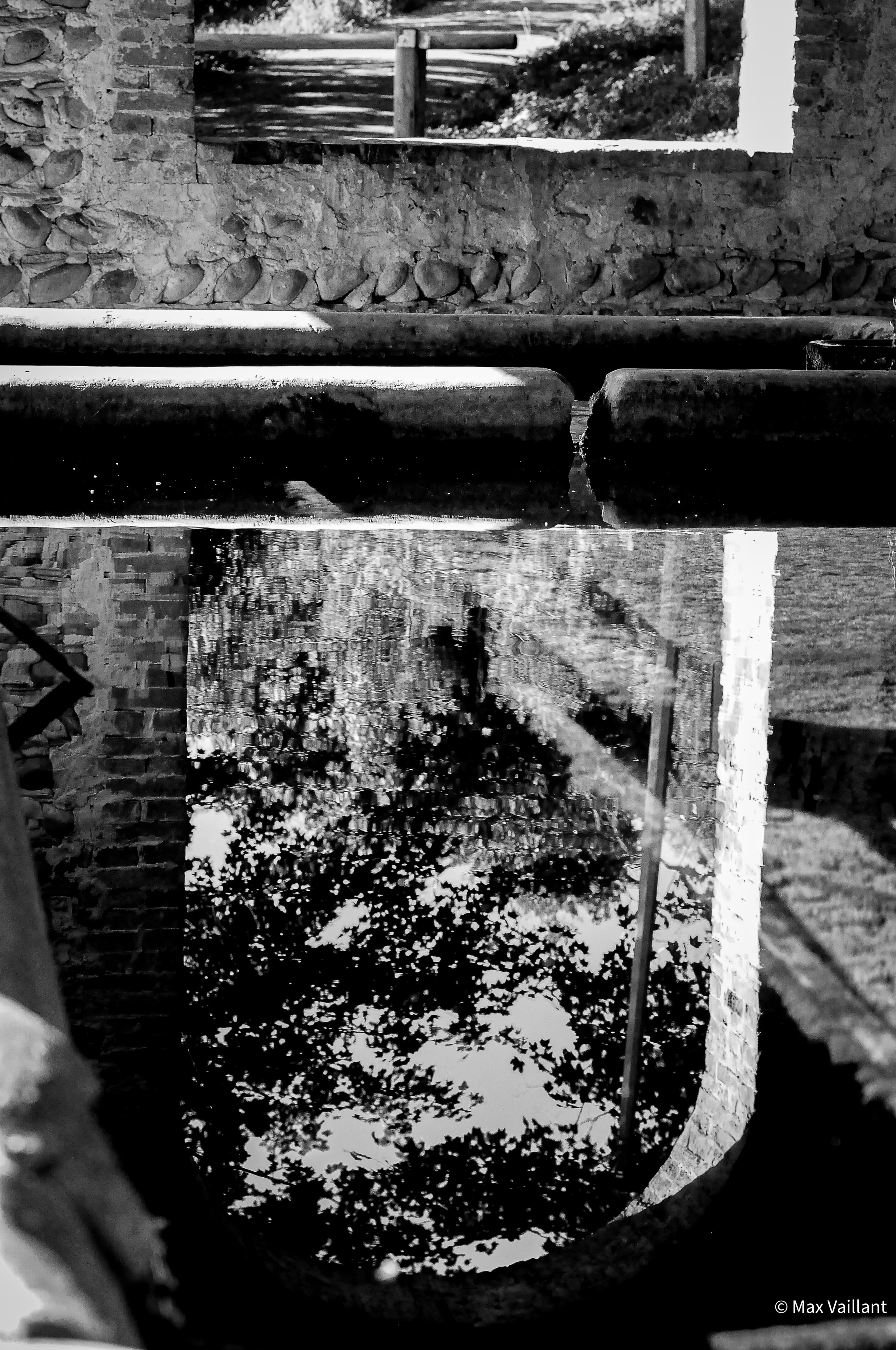 Reflet dans l'eau